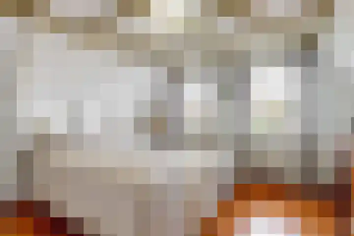 Achter op 't Zand 16 Hoorn thumbnail 24