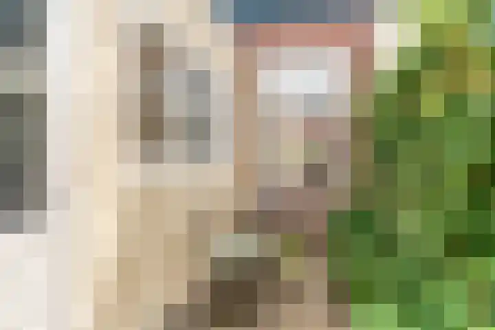 Achter op 't Zand 16 Hoorn thumbnail 27