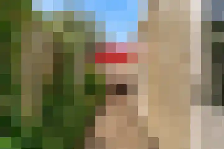 Achter op 't Zand 16 Hoorn thumbnail 28