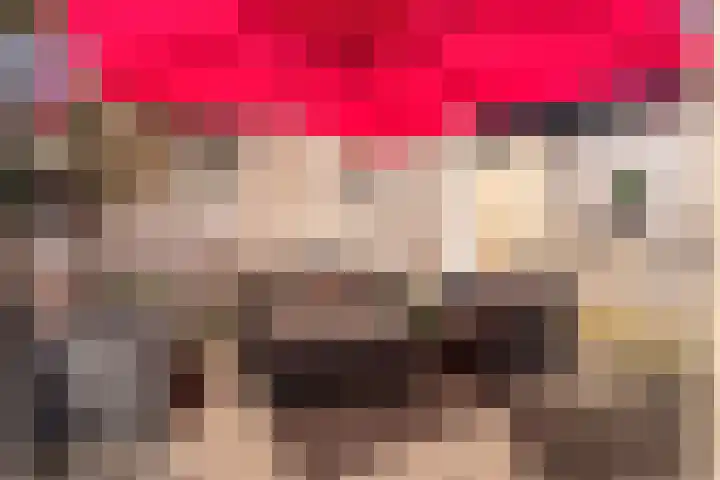 Achter op 't Zand 16 Hoorn thumbnail 29