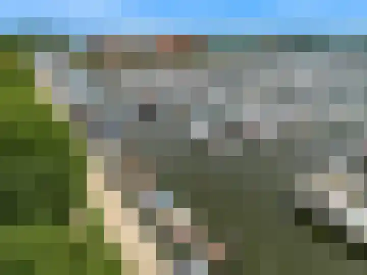 Achter op 't Zand 16 Hoorn thumbnail 35