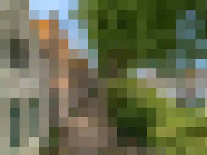 Achter op 't Zand 16 Hoorn thumbnail 8
