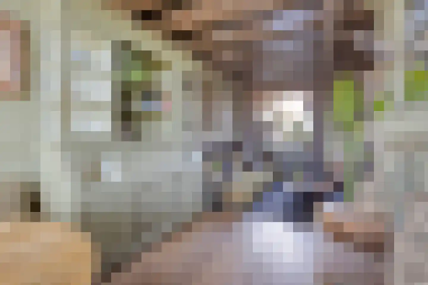 Achter op 't Zand 24 Hoorn thumbnail 15