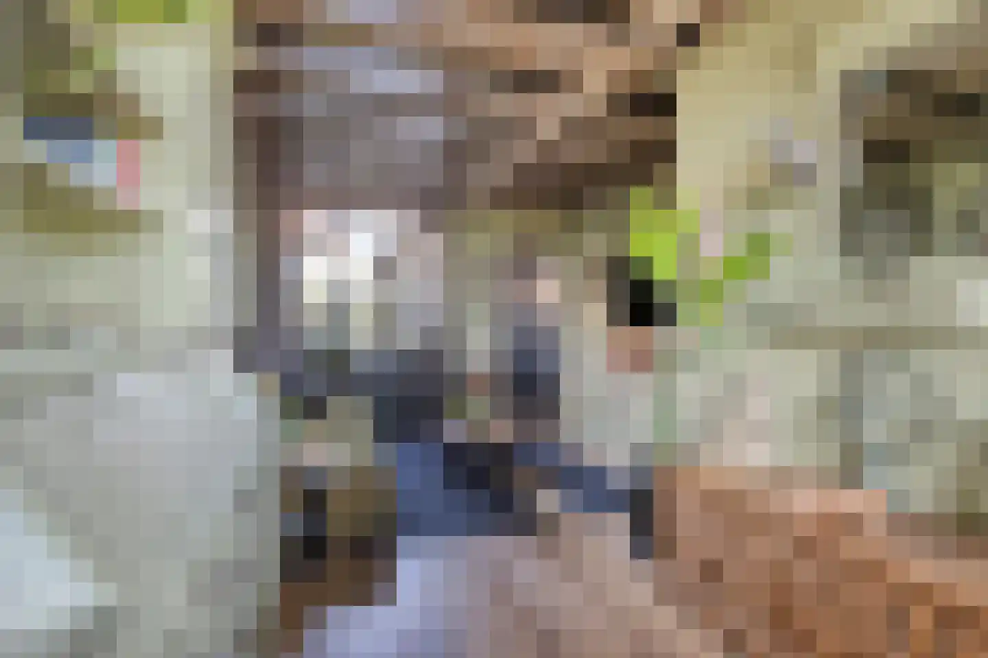 Achter op 't Zand 24 Hoorn thumbnail 16
