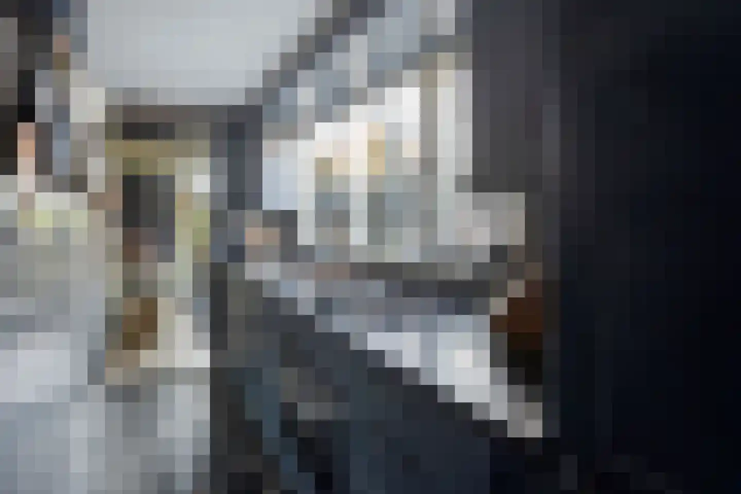 Achter op 't Zand 24 Hoorn thumbnail 19