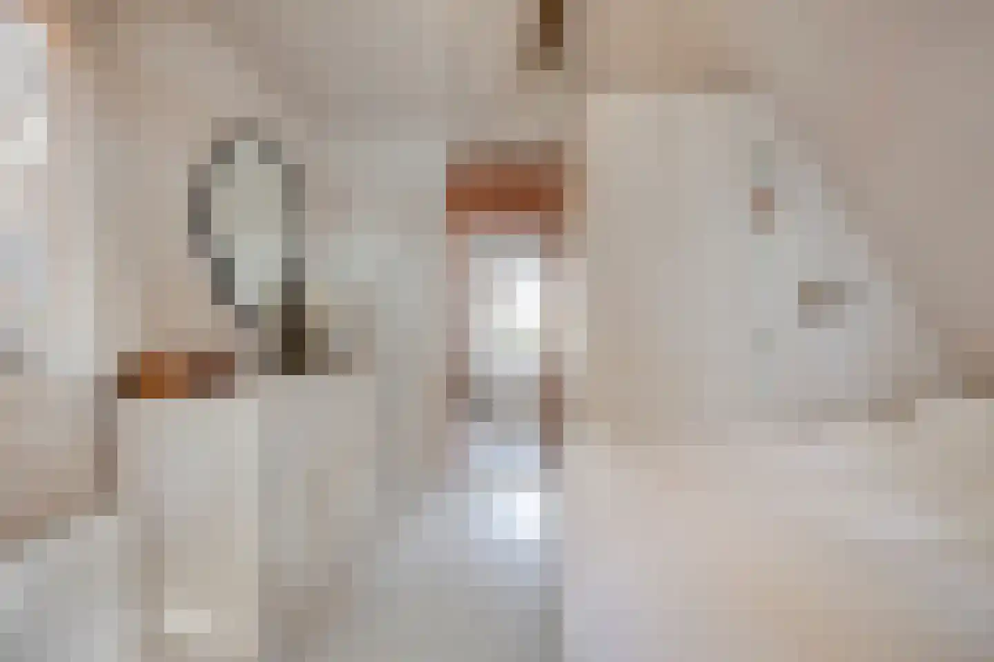 Achter op 't Zand 24 Hoorn thumbnail 25