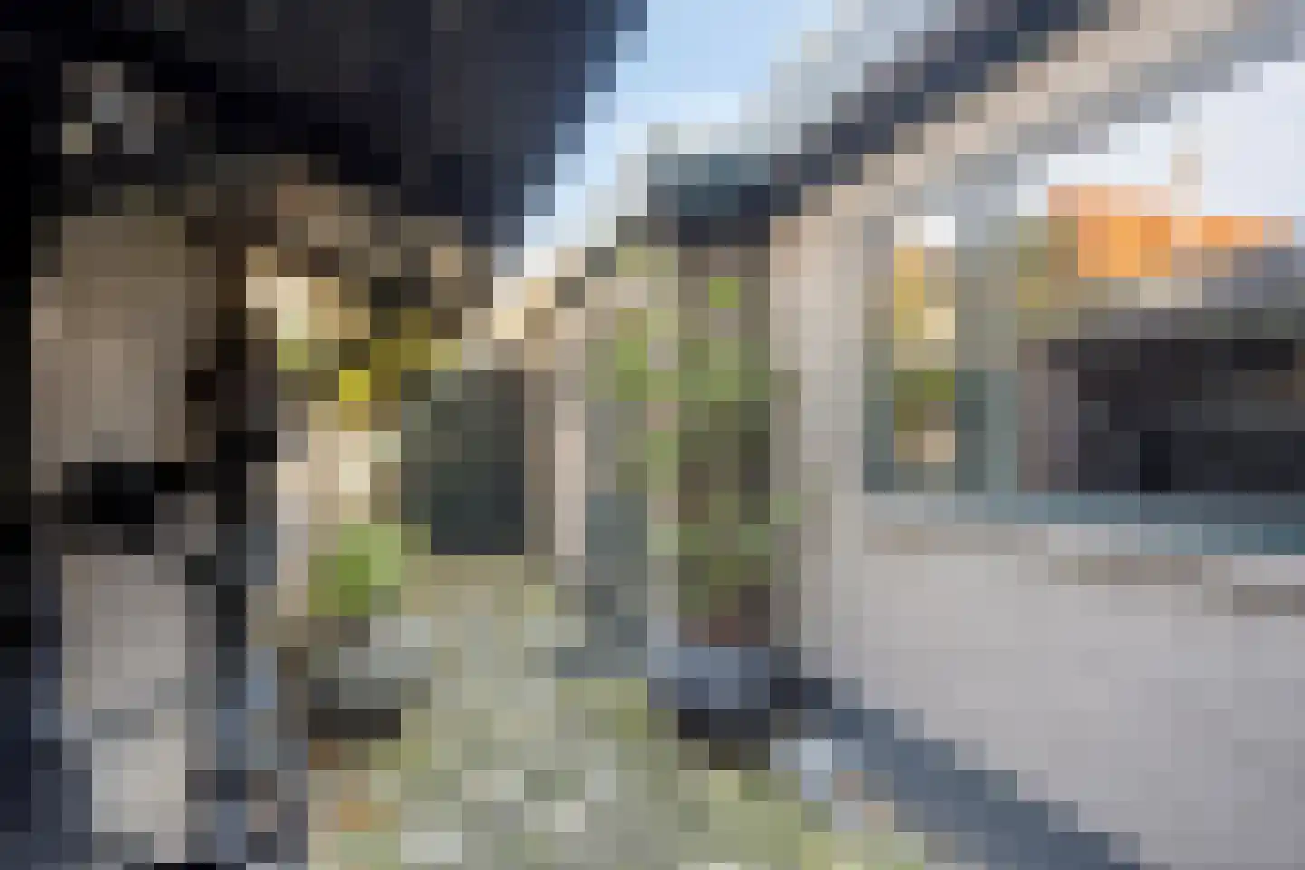 Achter op 't Zand 24 Hoorn thumbnail 30