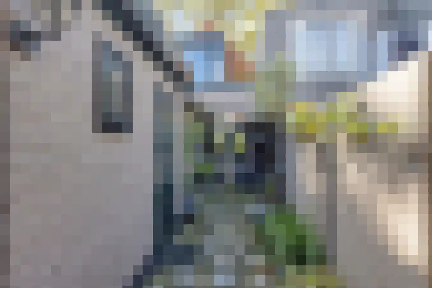 Achter op 't Zand 24 Hoorn thumbnail 31