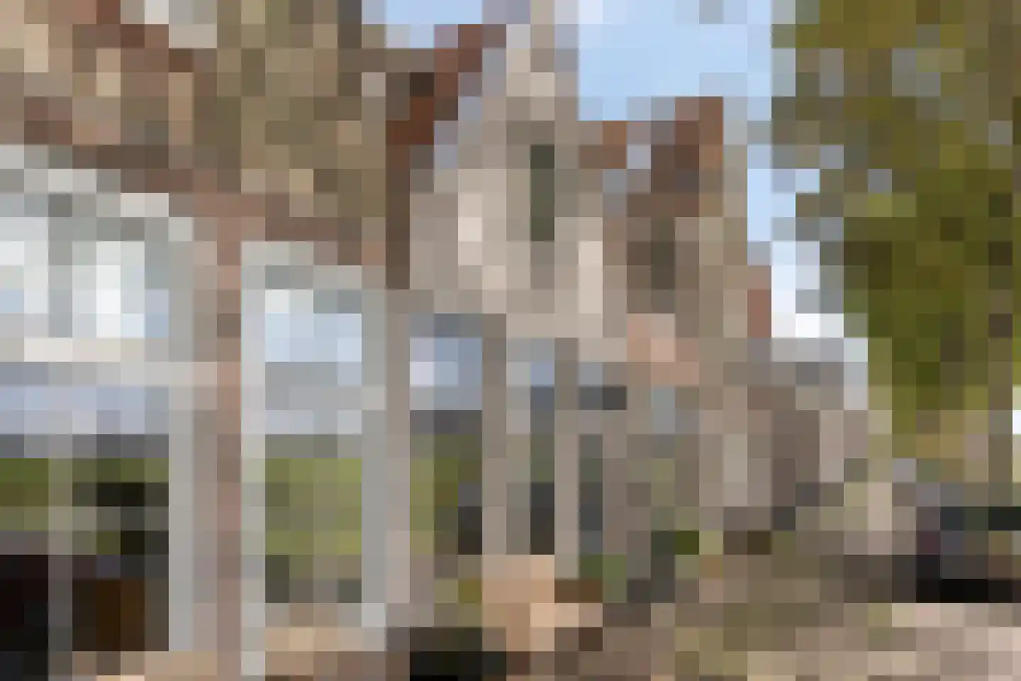 Achter op 't Zand 24 Hoorn thumbnail 7