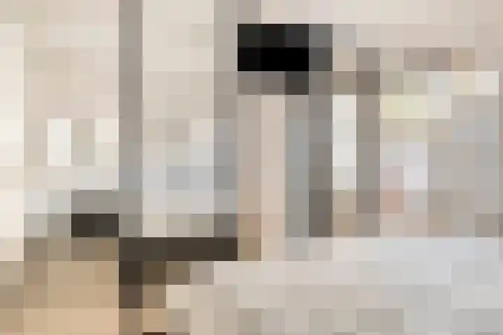 Achter op 't Zand 26 Hoorn thumbnail 10