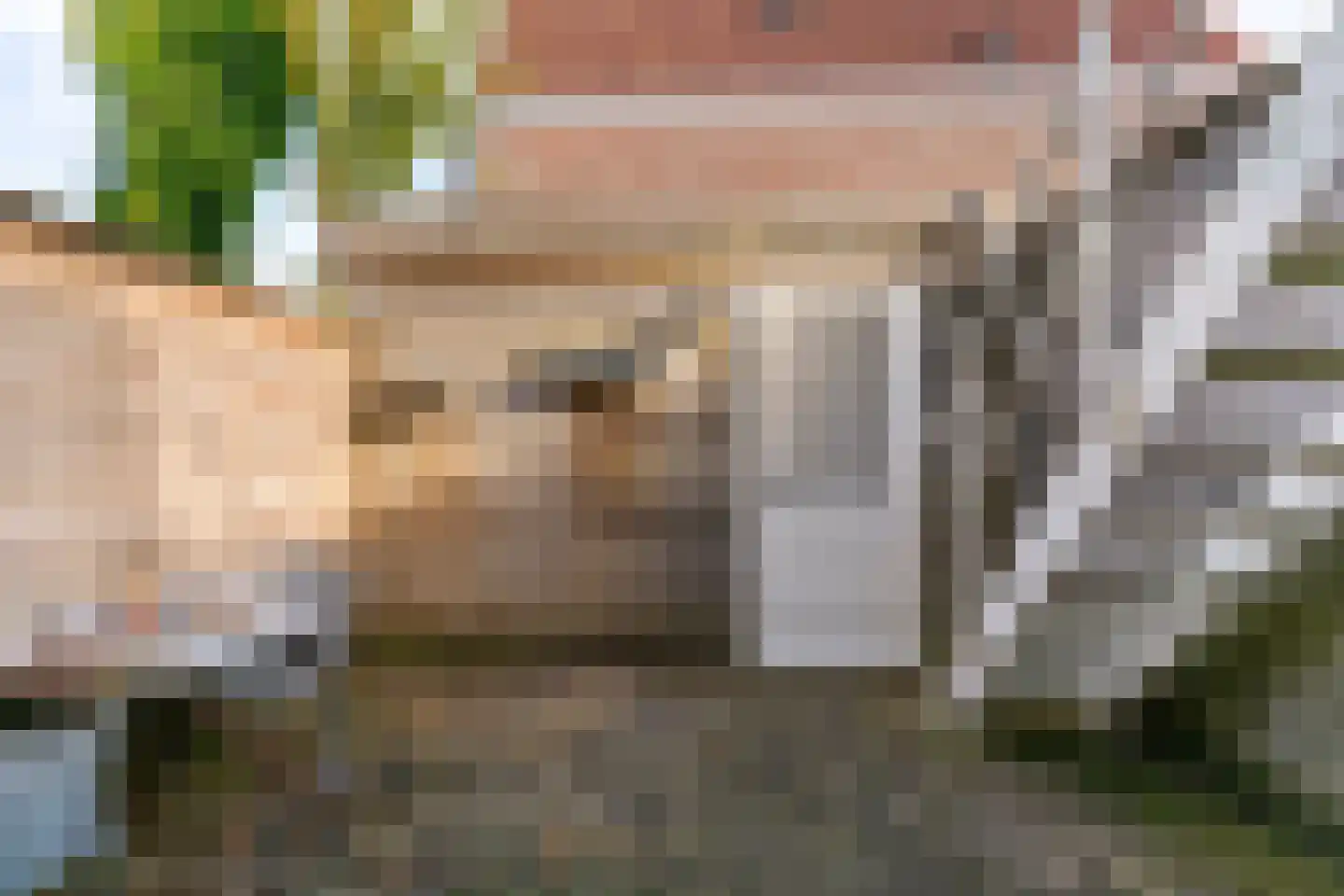 Achter op 't Zand 26 Hoorn thumbnail 11