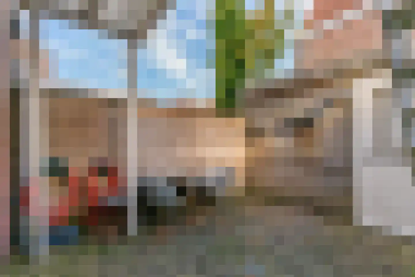 Achter op 't Zand 26 Hoorn thumbnail 12