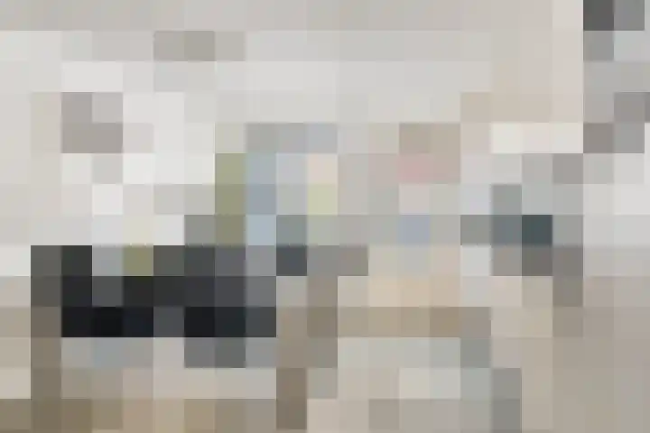 Achter op 't Zand 26 Hoorn thumbnail 19