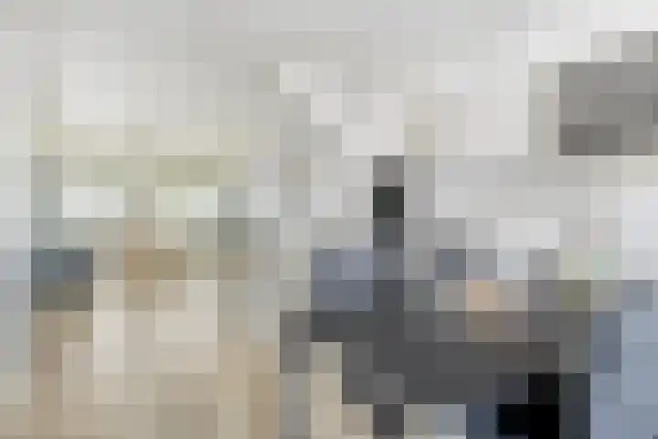 Achter op 't Zand 26 Hoorn thumbnail 20