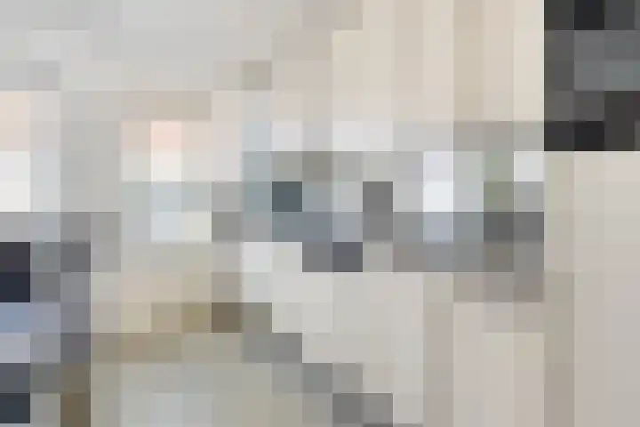 Achter op 't Zand 26 Hoorn thumbnail 21
