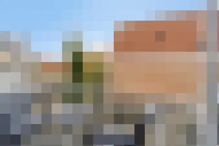Achter op 't Zand 26 Hoorn thumbnail 23