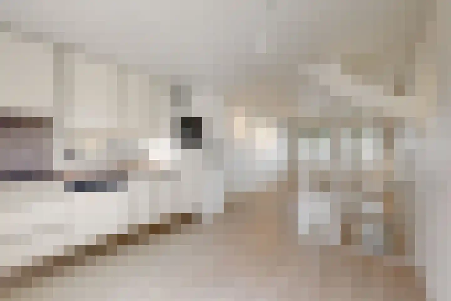 Achter op 't Zand 26 Hoorn thumbnail 24