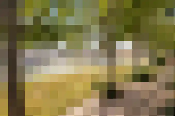 Achter op 't Zand 26 Hoorn thumbnail 25
