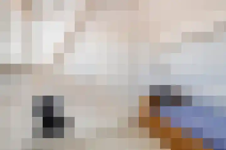 Achter op 't Zand 26 Hoorn thumbnail 30