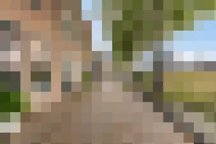 Achter op 't Zand 26 Hoorn thumbnail 37