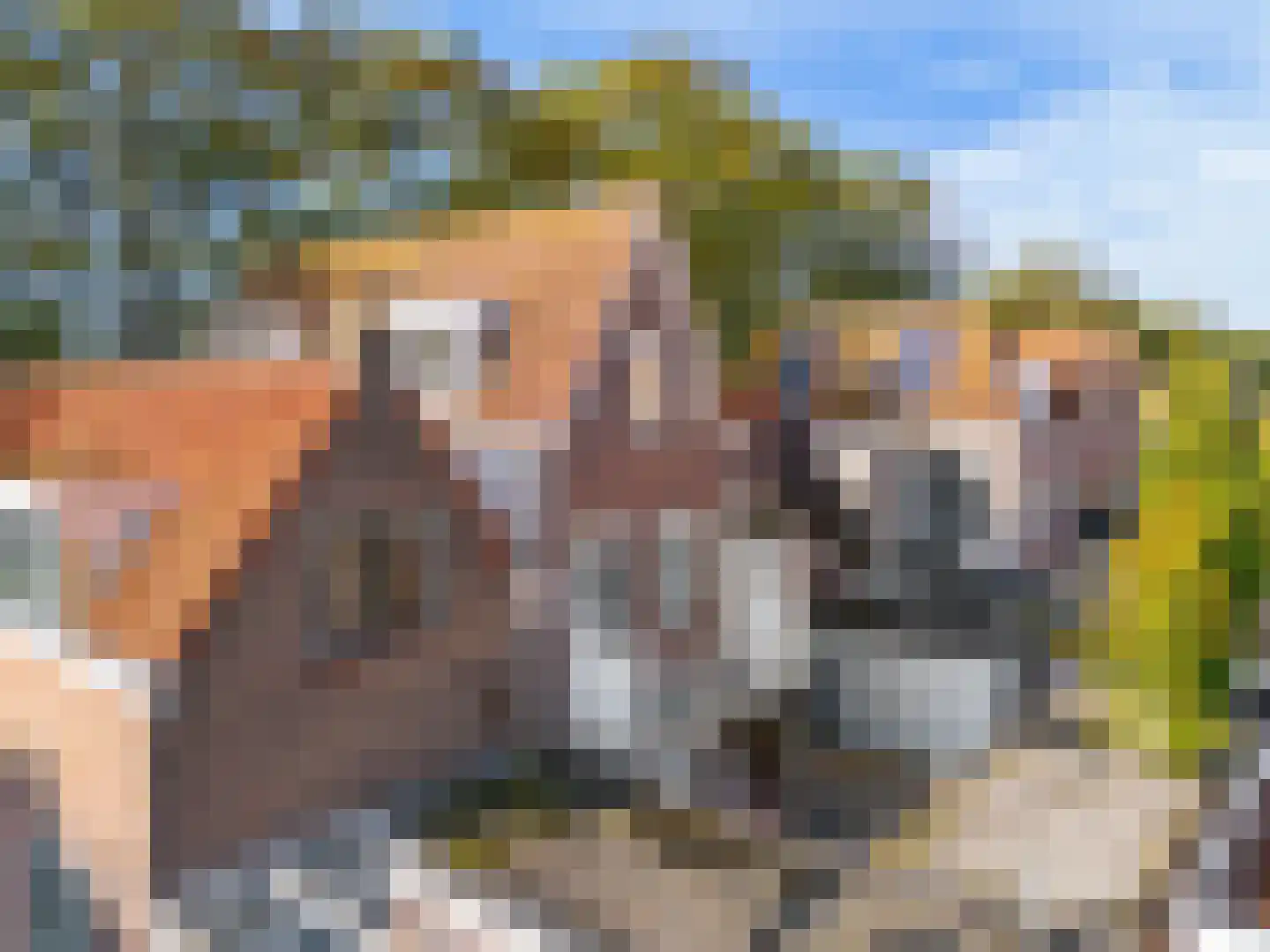 Achter op 't Zand 26 Hoorn thumbnail 38