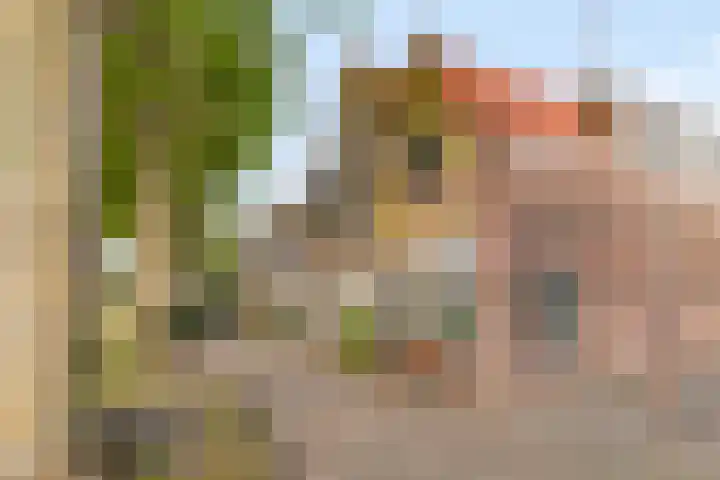 Achter op 't Zand 26 Hoorn thumbnail 38
