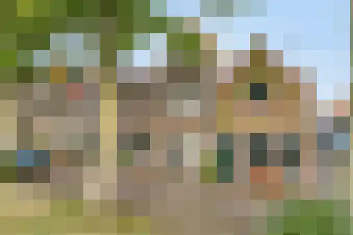 Achter op 't Zand 26 Hoorn thumbnail 39