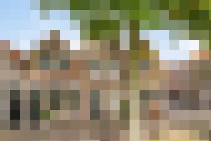 Achter op 't Zand 26 Hoorn thumbnail 40