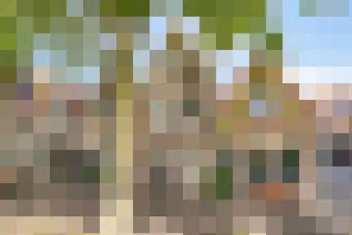 Achter op 't Zand 26 Hoorn thumbnail 41