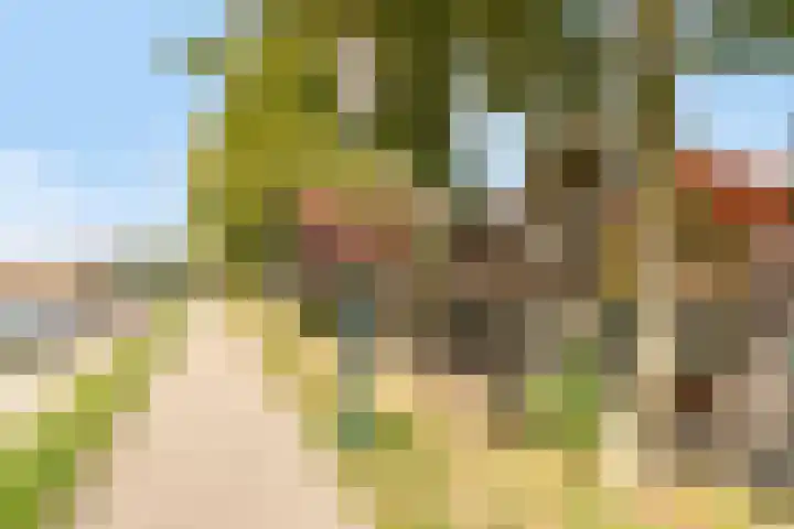 Achter op 't Zand 26 Hoorn thumbnail 42
