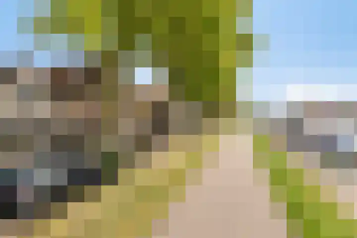 Achter op 't Zand 26 Hoorn thumbnail 43