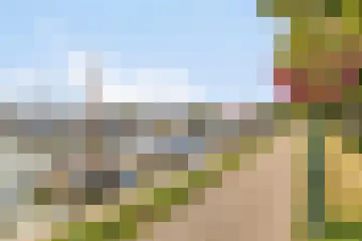 Achter op 't Zand 26 Hoorn thumbnail 45