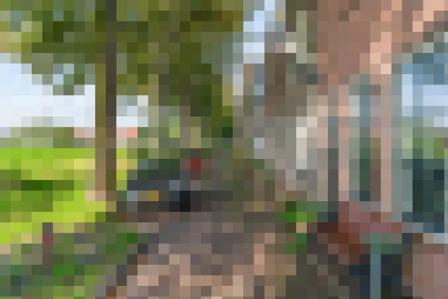 Achter op 't Zand 26 Hoorn thumbnail 46
