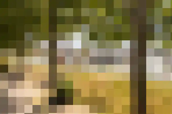 Achter op 't Zand 26 Hoorn thumbnail 6