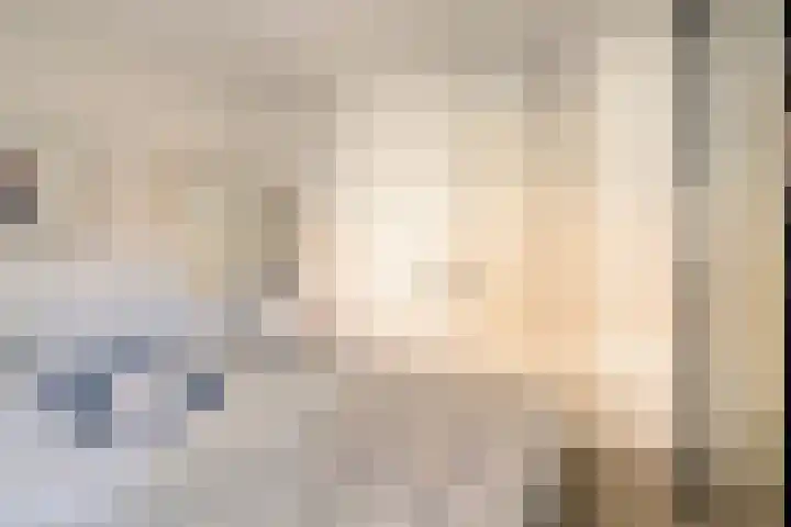 Achter op 't Zand 26 Hoorn thumbnail 9