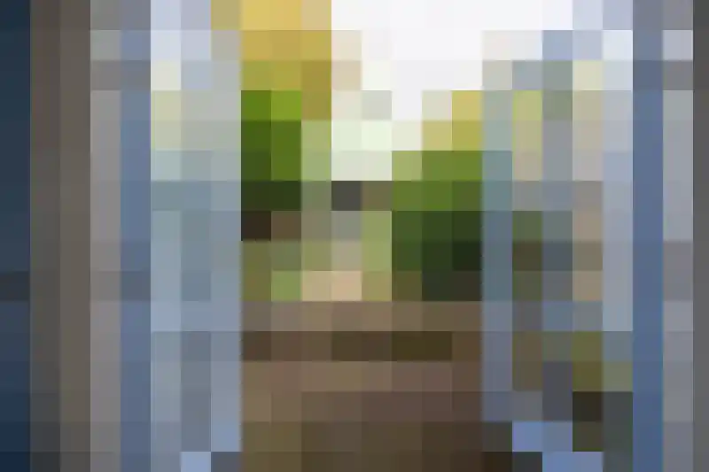 Achter op 't Zand 41 Hoorn thumbnail 9