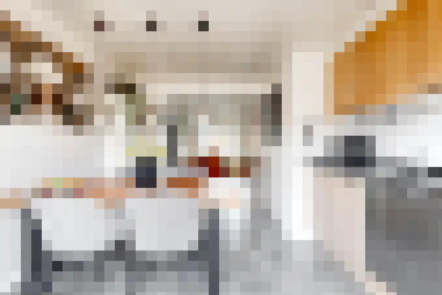 Achter op 't Zand 49 Hoorn thumbnail 15