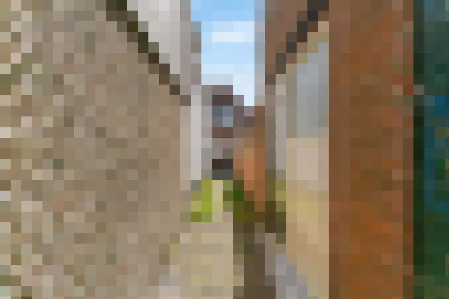 Achter op 't Zand 49 Hoorn thumbnail 39
