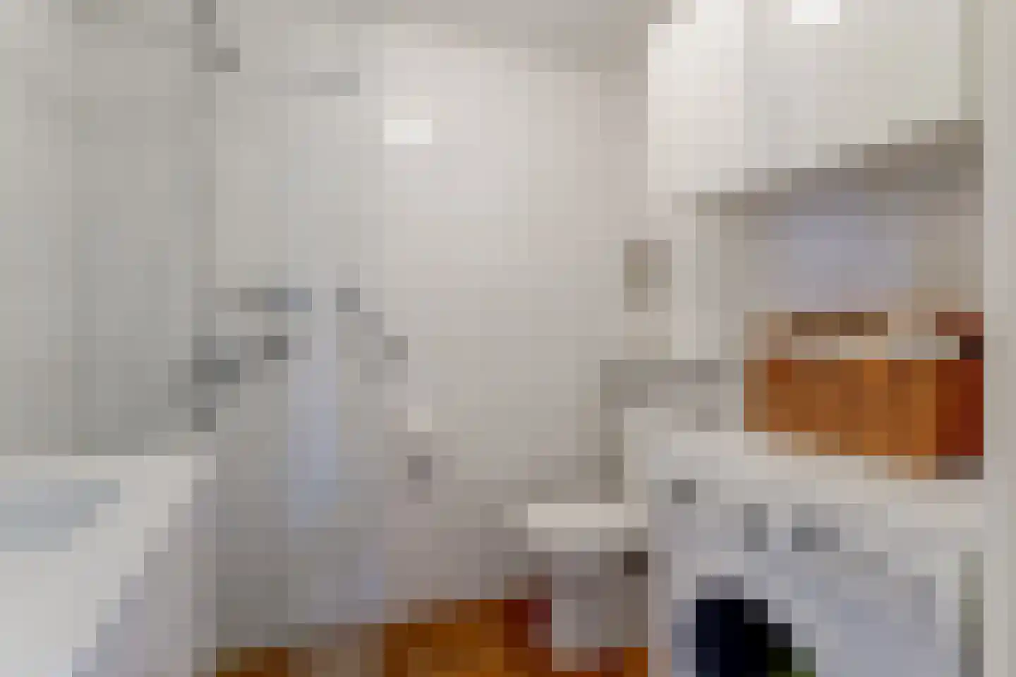 Achter op 't Zand 56 Hoorn thumbnail 39