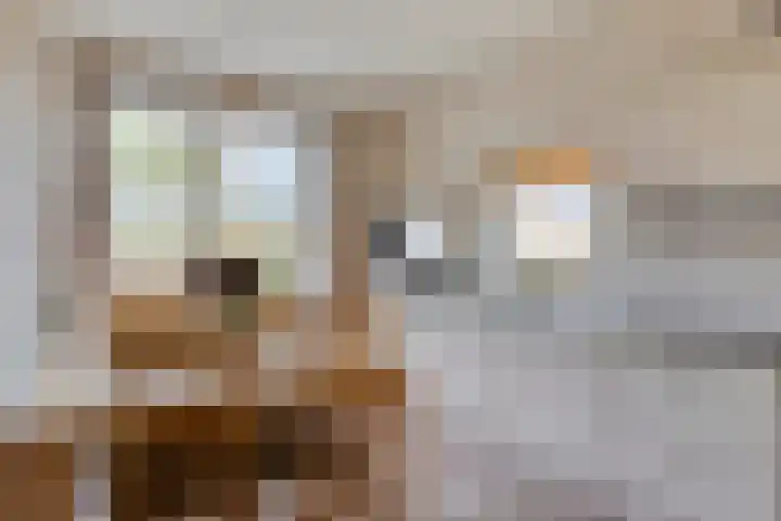 Achter-Oventje 13 Zeeland thumbnail 11