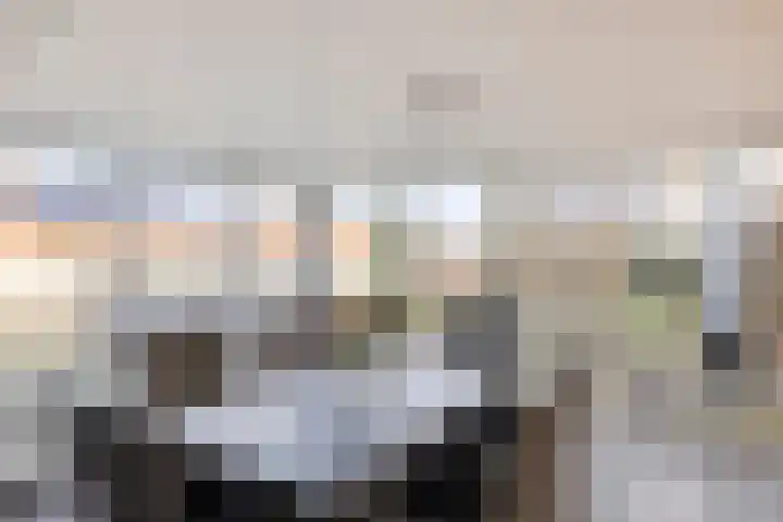 Achter-Oventje 13 Zeeland thumbnail 17