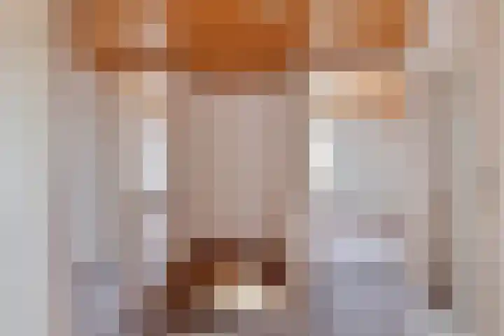 Achter-Oventje 13 Zeeland thumbnail 26