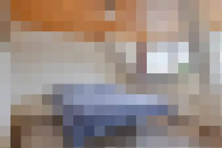 Achter-Oventje 13 Zeeland thumbnail 28