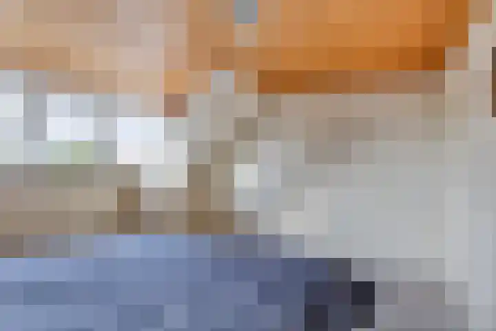 Achter-Oventje 13 Zeeland thumbnail 29