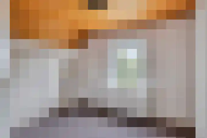 Achter-Oventje 13 Zeeland thumbnail 33
