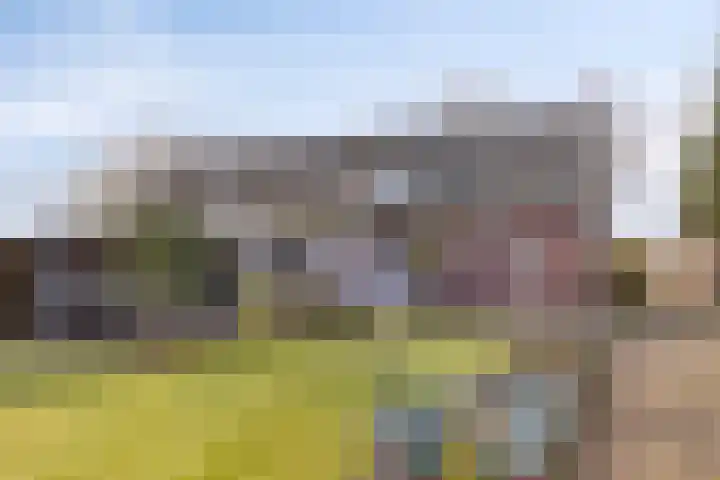 Achter-Oventje 13 Zeeland thumbnail 36