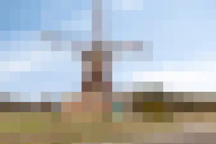 Achter-Oventje 13 Zeeland thumbnail 43