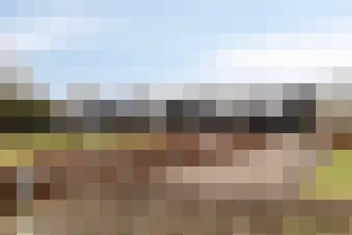 Achter-Oventje 13 Zeeland thumbnail 44