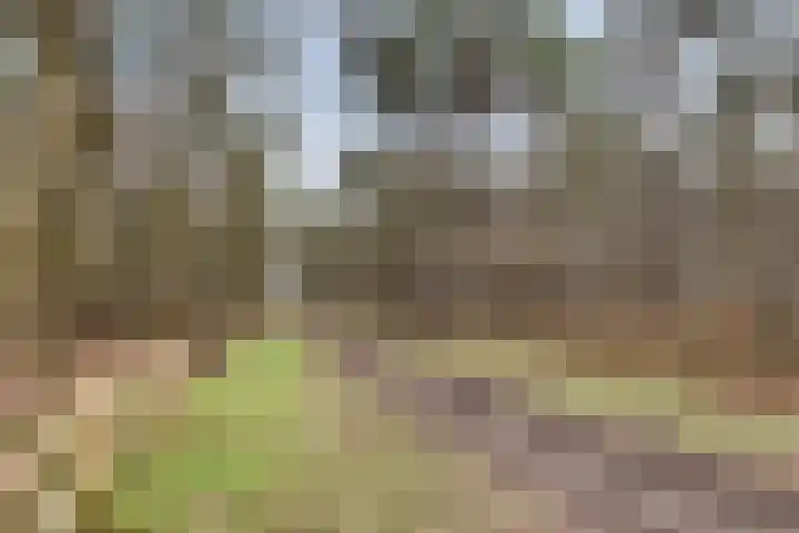 Achter-Oventje 13 Zeeland thumbnail 45