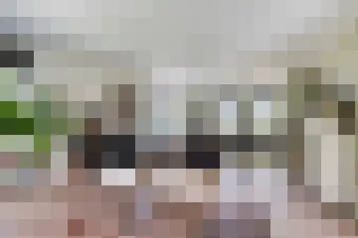 Achter-Oventje 2 a Zeeland thumbnail 10